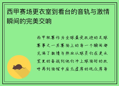 西甲赛场更衣室到看台的音轨与激情瞬间的完美交响
