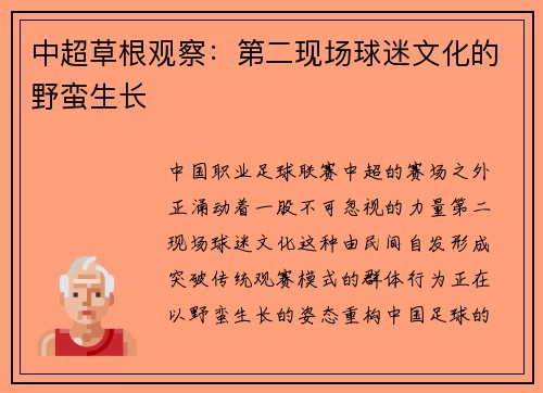 中超草根观察：第二现场球迷文化的野蛮生长