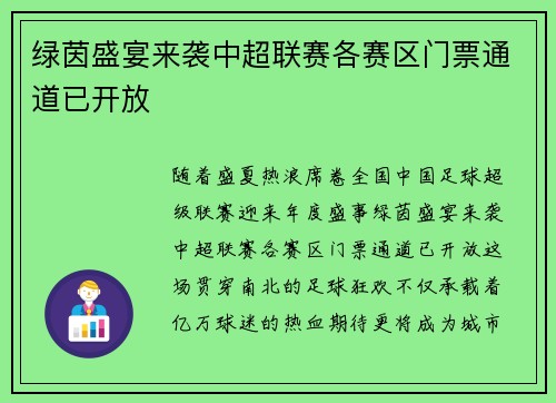 绿茵盛宴来袭中超联赛各赛区门票通道已开放